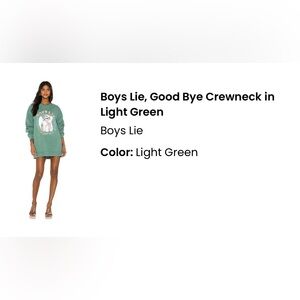 Boys Lie , Good bye Mint Green Crewneck Oversized Sweatshirt